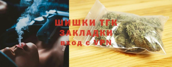 гидра Алексеевка