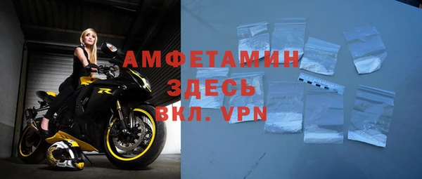 гидра Алексеевка