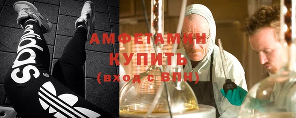 гидра Алексеевка