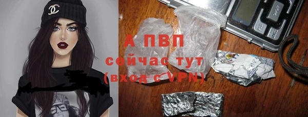 гидра Алексеевка