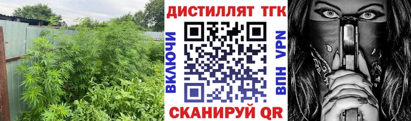 ТГК Wax  Аргун 