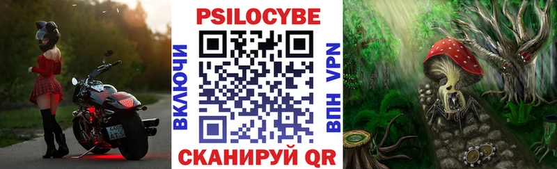 Псилоцибиновые грибы Psilocybine cubensis  наркотики  Аргун 