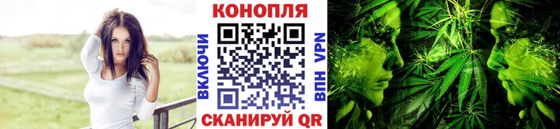 Каннабис SATIVA & INDICA наркотики darknet официальный сайт Аргун